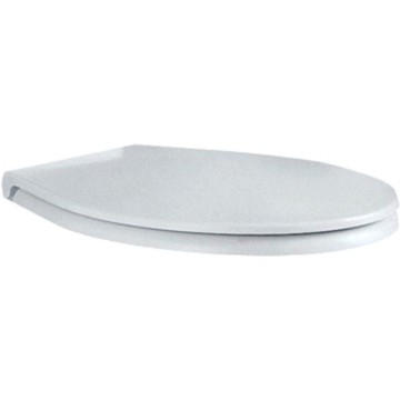 Sanibroyeur sanicompact toiletzitting met deksel wit c11